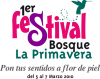 Festival.png