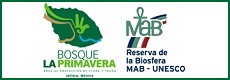 bn_BLP-MAB.jpg