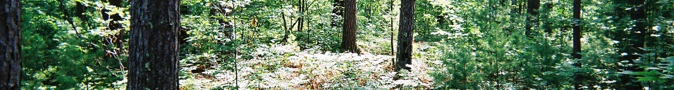 liston-fauna-completo.jpg